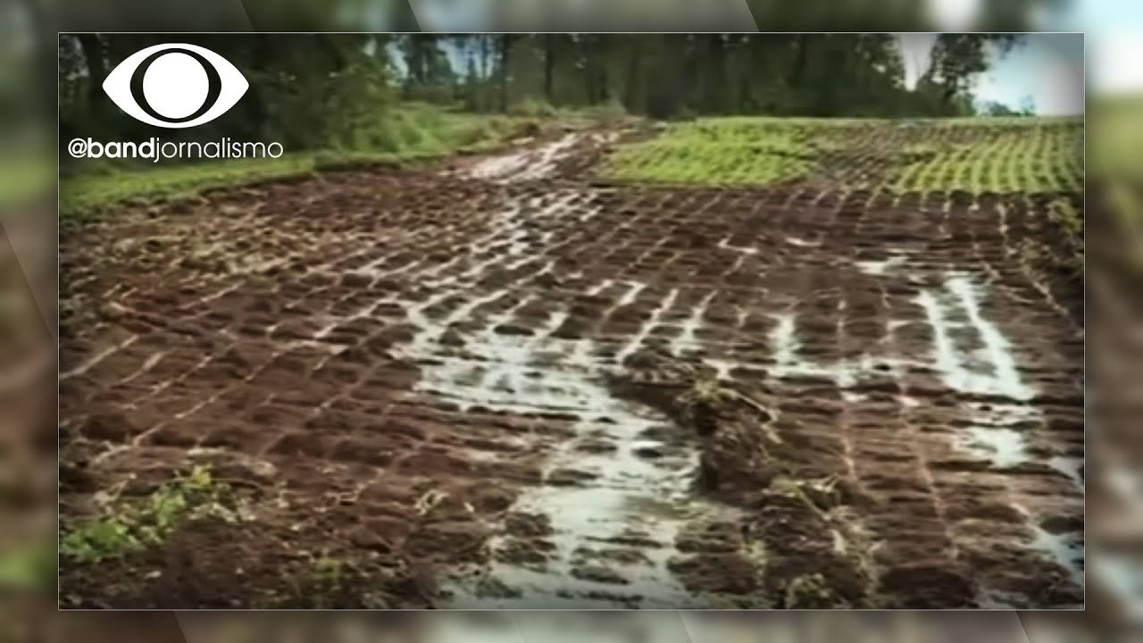 Com temporais, perdas na agricultura superam R$ 590 milhões