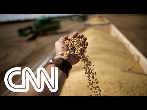Conexão Agro: Estiagem no Sul do país encarece preço de alimentos