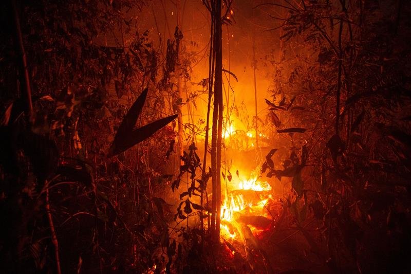 Floresta Amazônica pegando fogo